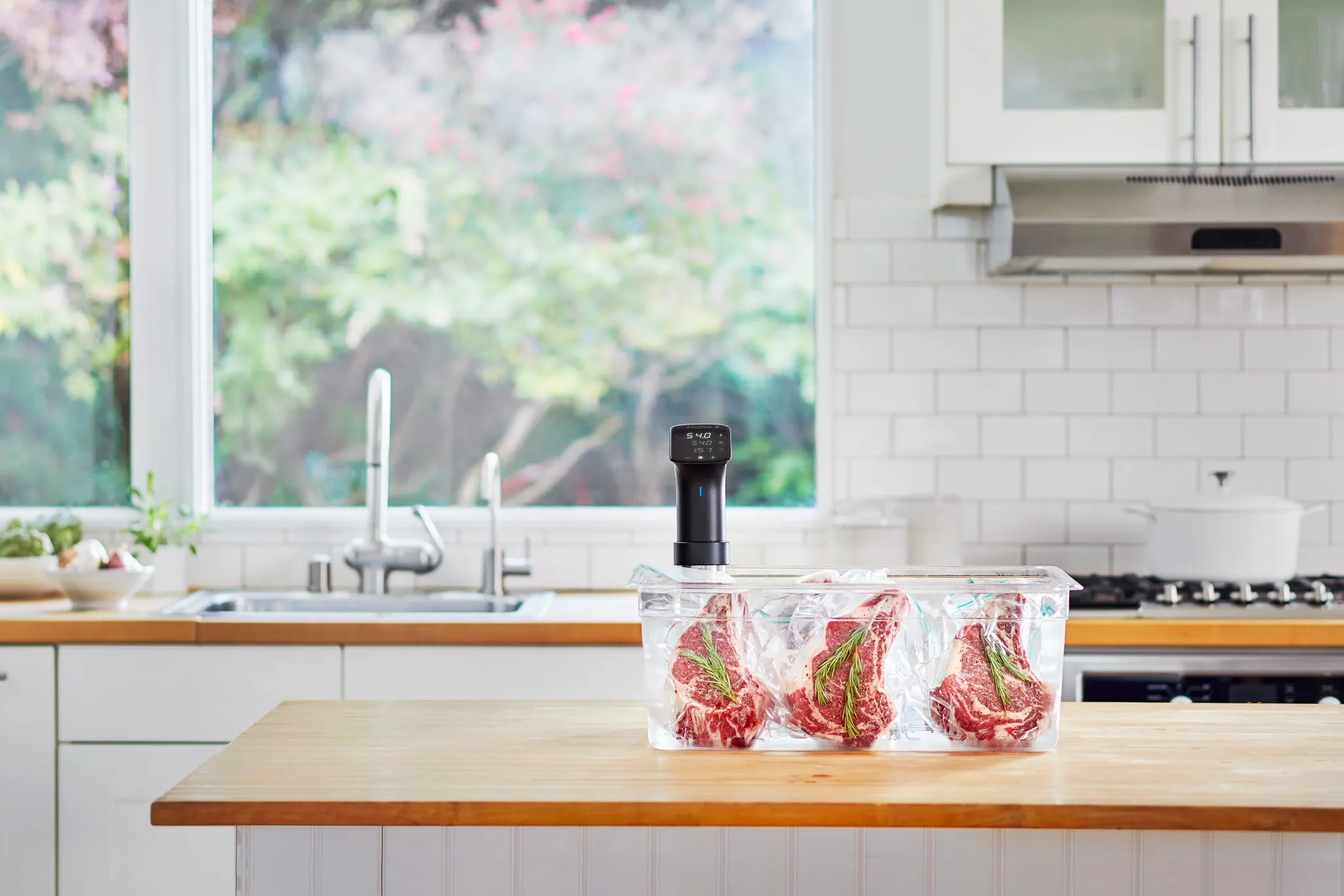 Sous Vide Precision Cooker Pro Kitchen Electricals