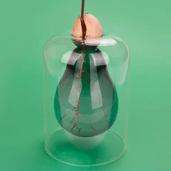 Outlet Avocado Seed Glass Vase Tableware Brands