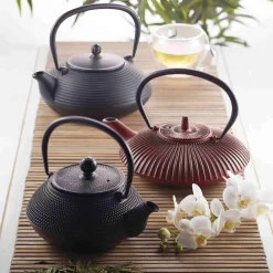 Best Black Cast Iron Teapot, 600ml Tableware Brands|Japanese Ingredients