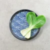 Best Blue Wave Medium Plate, 22cm Tableware Brands|Japanese Ingredients