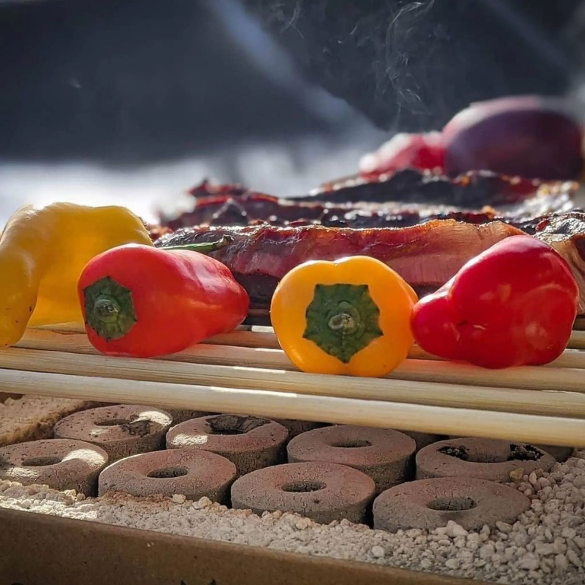 Online CasusGrill Disposable Eco BBQ Picnicware|Food Smokers