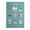 Sale Champignons French Tea Towel Kitchen Textiles & Clothing