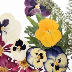 Sale Edible Dried & Pressed Flower & Leaf Mix, 20 pieces Ingredients Brands|Baking Ingredients