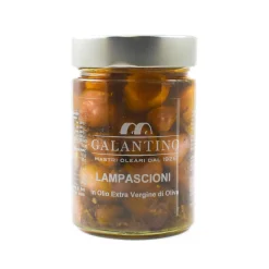 Outlet Lampascioni in Extra Virgin Olive Oil, 320g Ingredients Brands|Vegetables