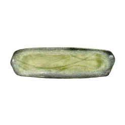 Hot Green Glaze Sushi Platter Japanese Ingredients|Plates