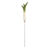 Sale Handcarved Leek Design Cake and Vegetable Tester Baking Supplies & Equipment