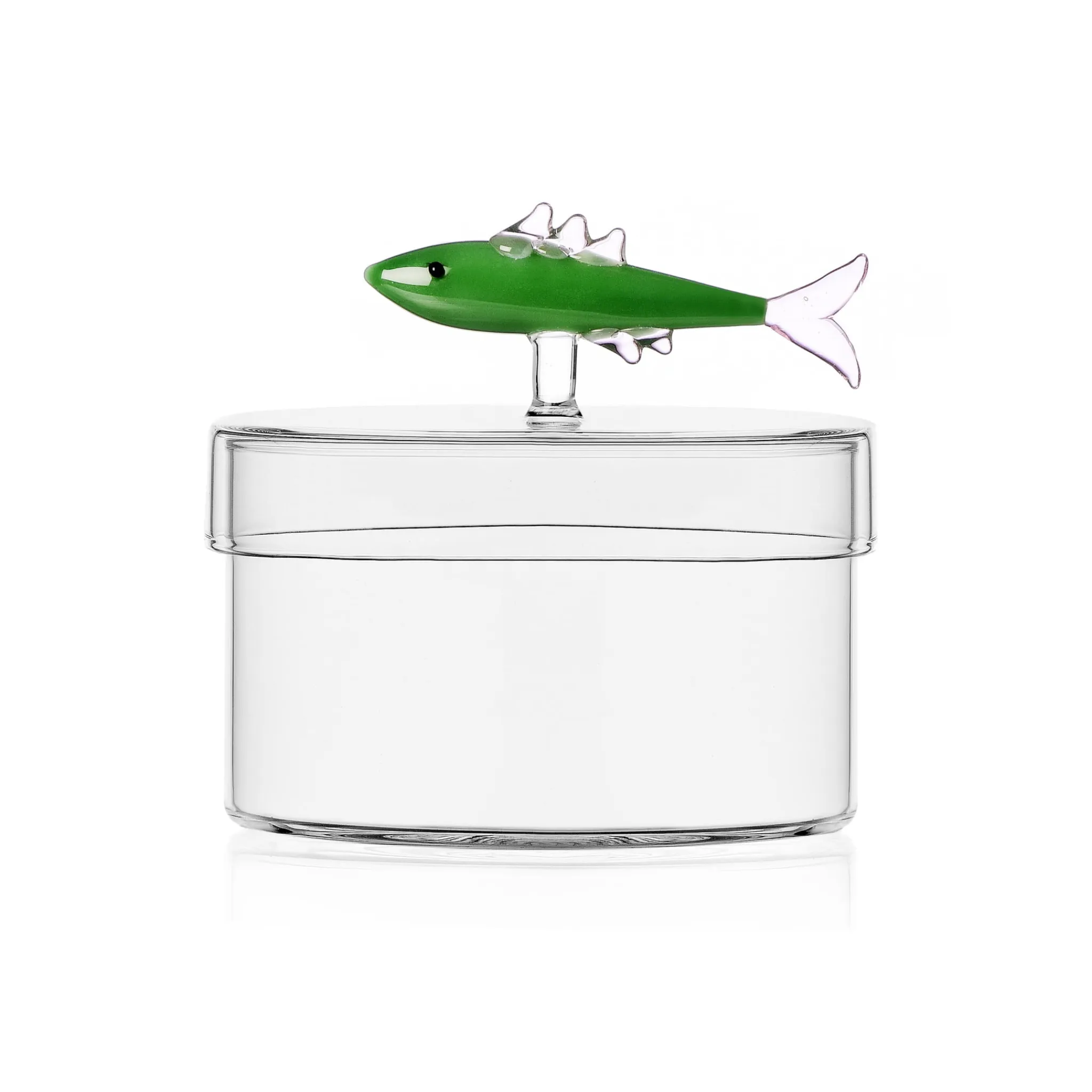 Outlet Green Sardine Snack Jar with Lid, 12cm Tableware Brands
