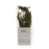 Sale Greek Dried Rosemary Branches, 40g Ingredients Brands|Greek Ingredients