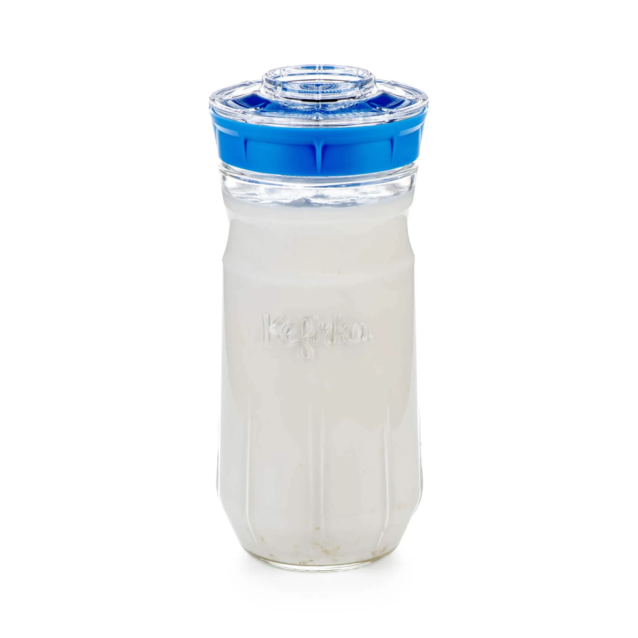 Online Blue Kefir and Kombucha Maker Pickling, Preserving & Fermenting Jars