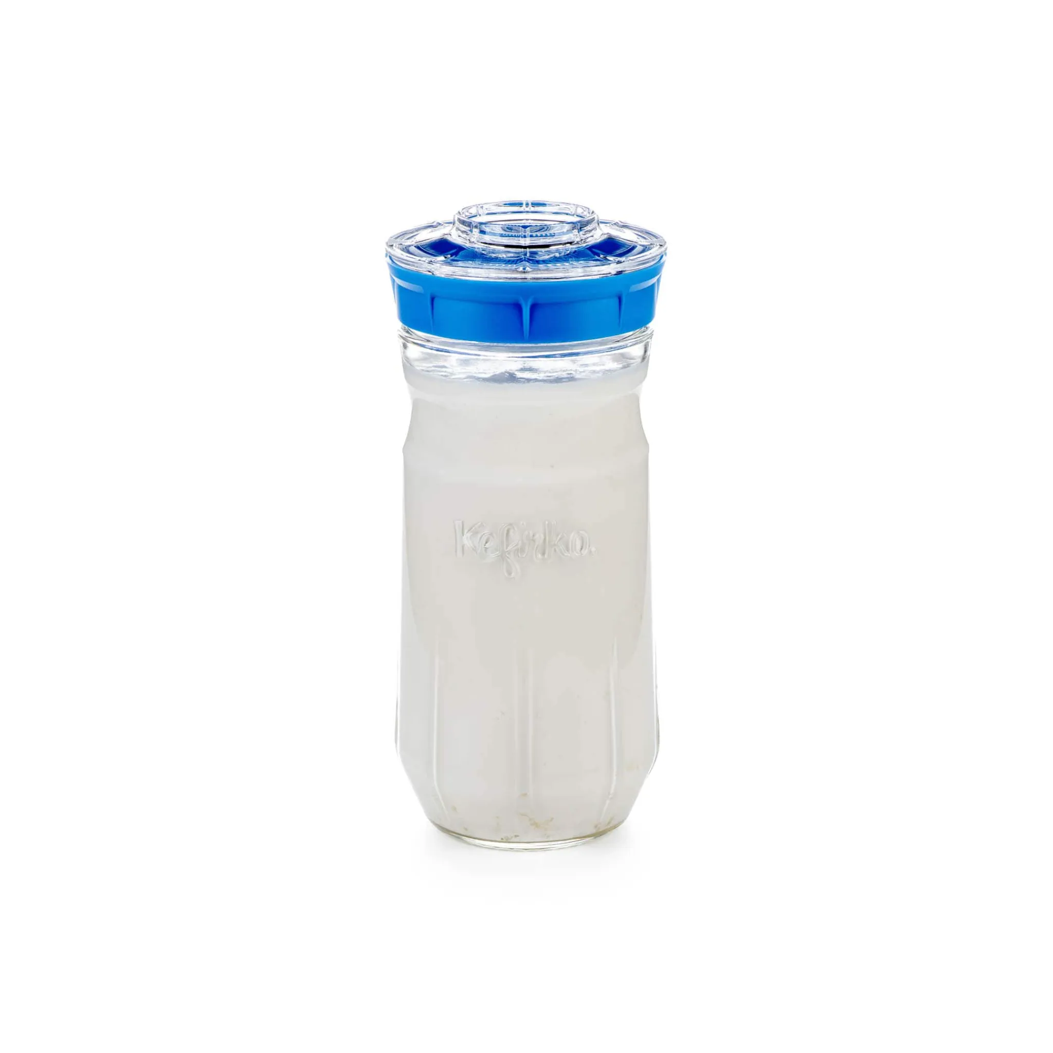 Online Blue Kefir and Kombucha Maker Pickling, Preserving & Fermenting Jars