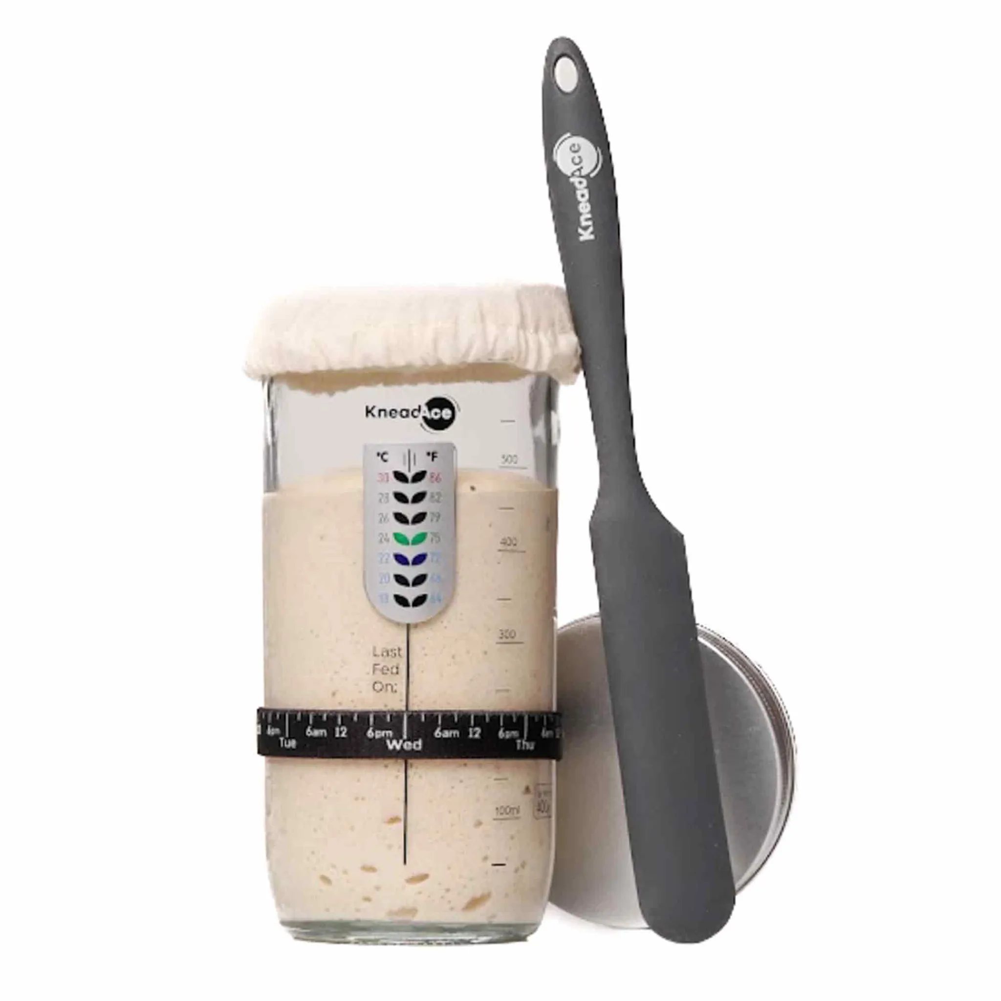 Outlet Sourdough Starter Jar Kit, 24oz Baking Supplies & Equipment