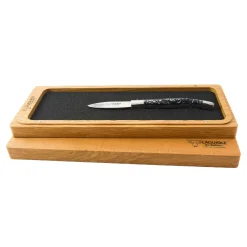 Best Mussel Shell Handle Oyster Knife Kitchen Knives
