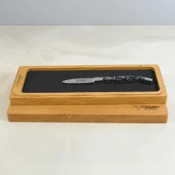 Best Mussel Shell Handle Oyster Knife Kitchen Knives