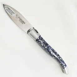 Best Mussel Shell Handle Oyster Knife Kitchen Knives