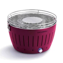 Online Standard, Purple Food Smokers|Bbq & Smoking