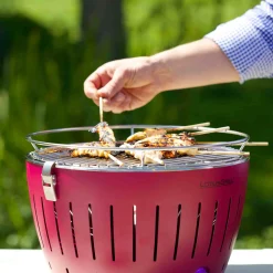Online Standard, Purple Food Smokers|Bbq & Smoking