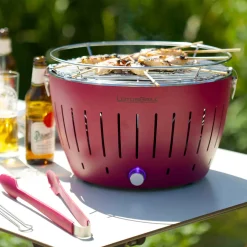 Online Standard, Purple Food Smokers|Bbq & Smoking