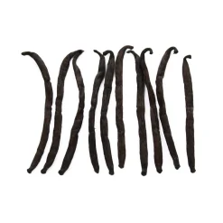 Best Madagascan Vanilla Pods x 10 Herbs & Spices|Ingredients Brands