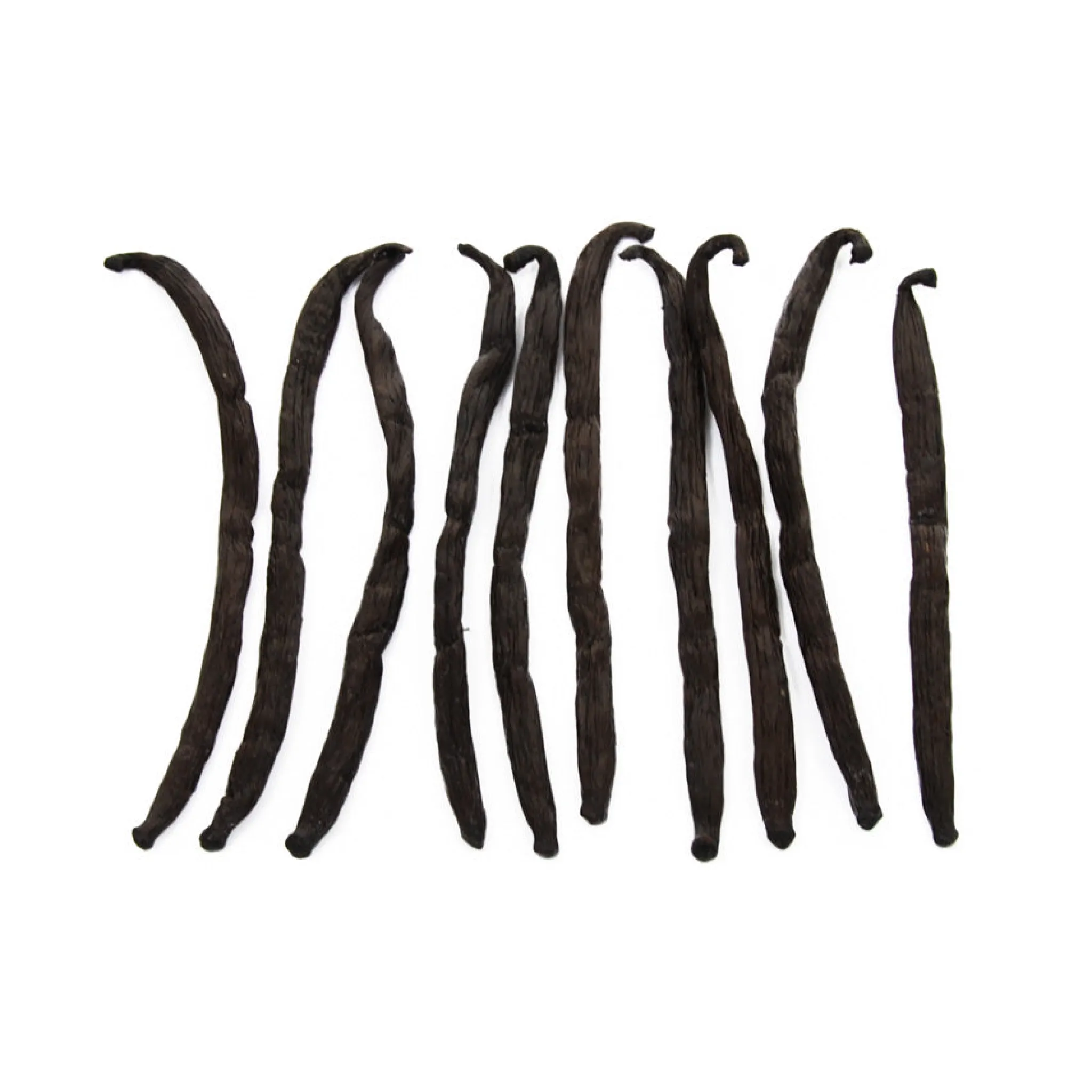 Best Madagascan Vanilla Pods x 10 Herbs & Spices|Ingredients Brands