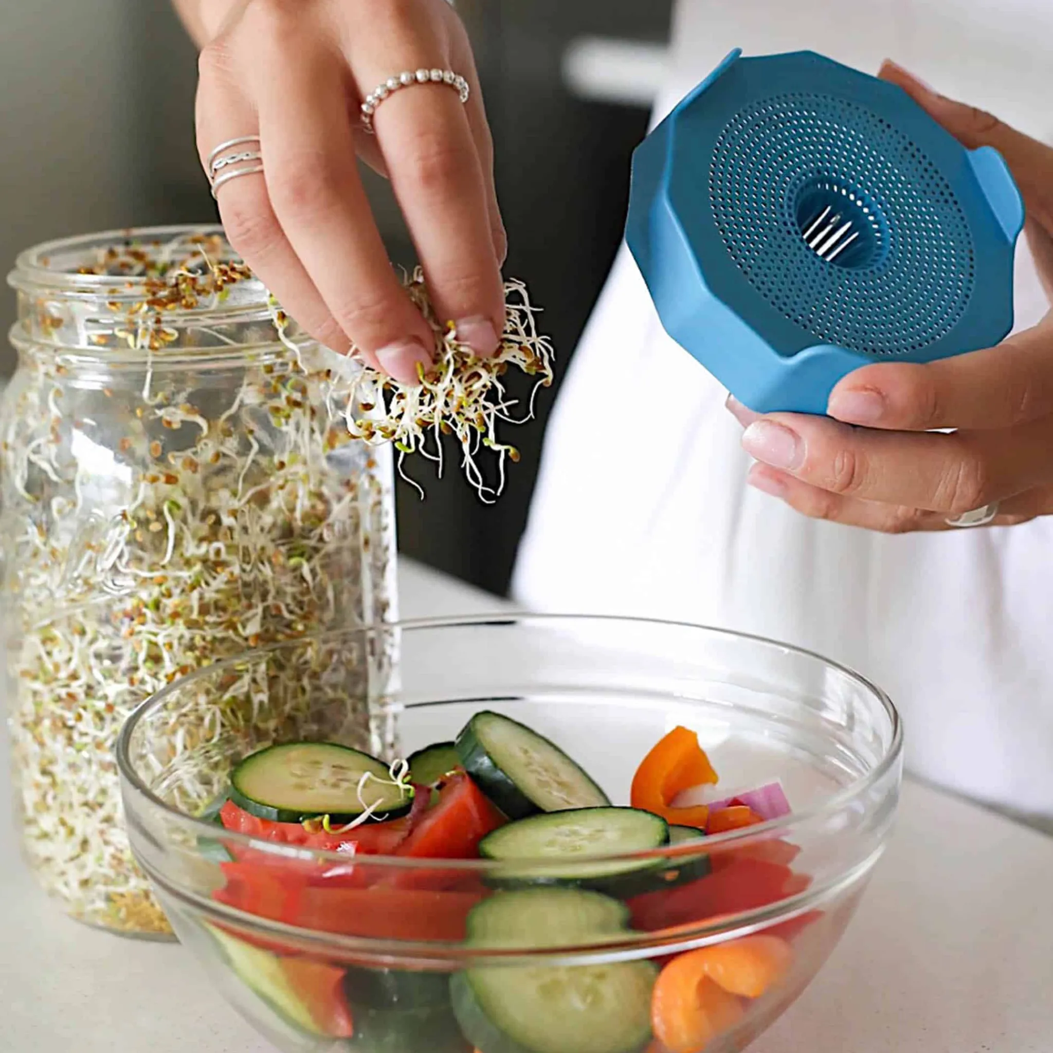 Hot Wide Mouth Bean Screens Sprouting Lids, Set of 2 Pickling, Preserving & Fermenting Jars