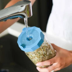 Hot Wide Mouth Bean Screens Sprouting Lids, Set of 2 Pickling, Preserving & Fermenting Jars