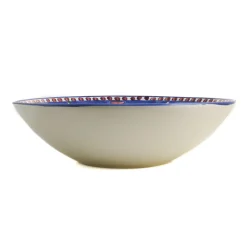 Hot Gallina Blue Salad Bowl Tableware Brands|Crockery & Dinnerware