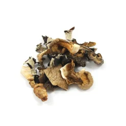 Online Mixed Wild Mushrooms, 500g Ingredients Brands|Italian Ingredients