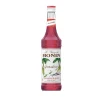 Best Grenadine Syrup 70cl Ingredients Brands|Drinks