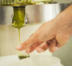 New Roasted Bronte Pistachio Oil, 100ml Ingredients Brands|Italian Ingredients