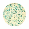 Outlet Puglia Aquamarine Splatter Dinner Plate, 27cm Italian Ingredients|Plates