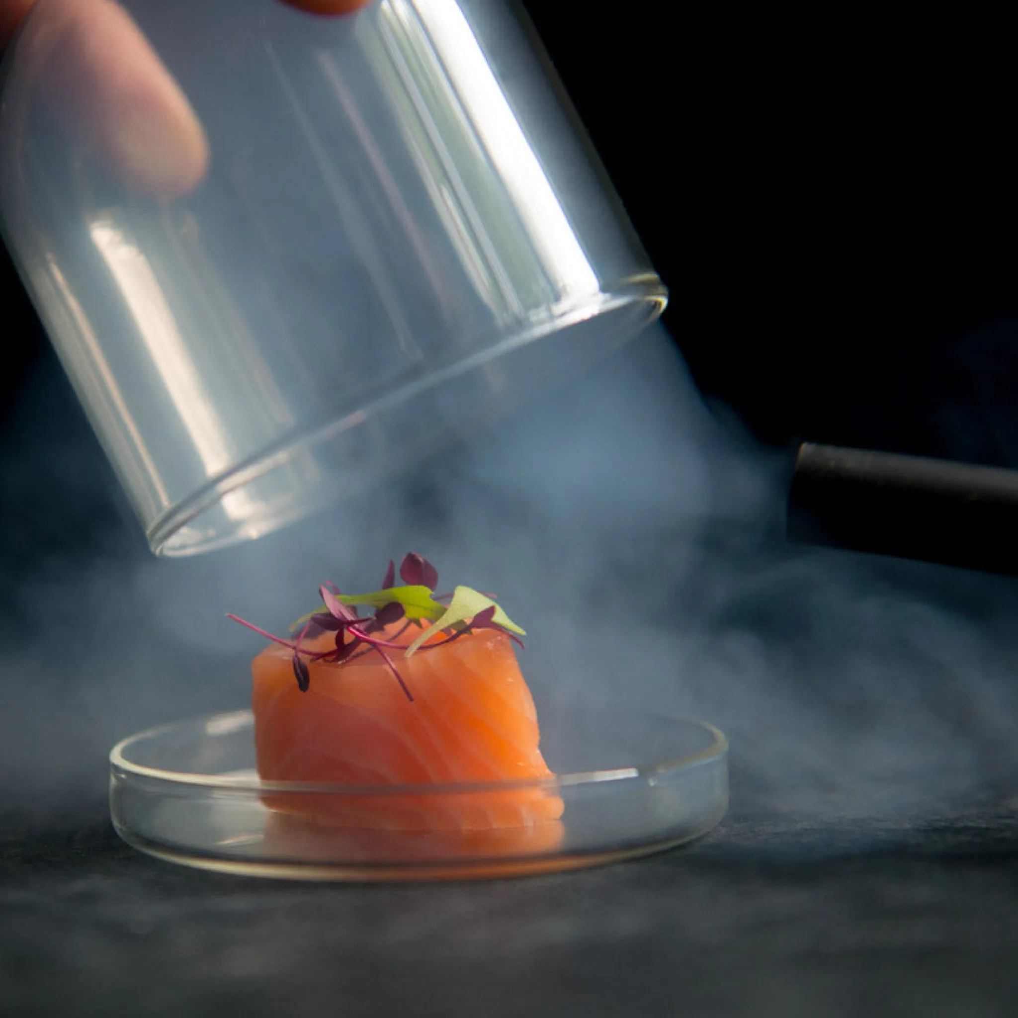 Smoking Gun Kitchen Electricals|Food Smokers