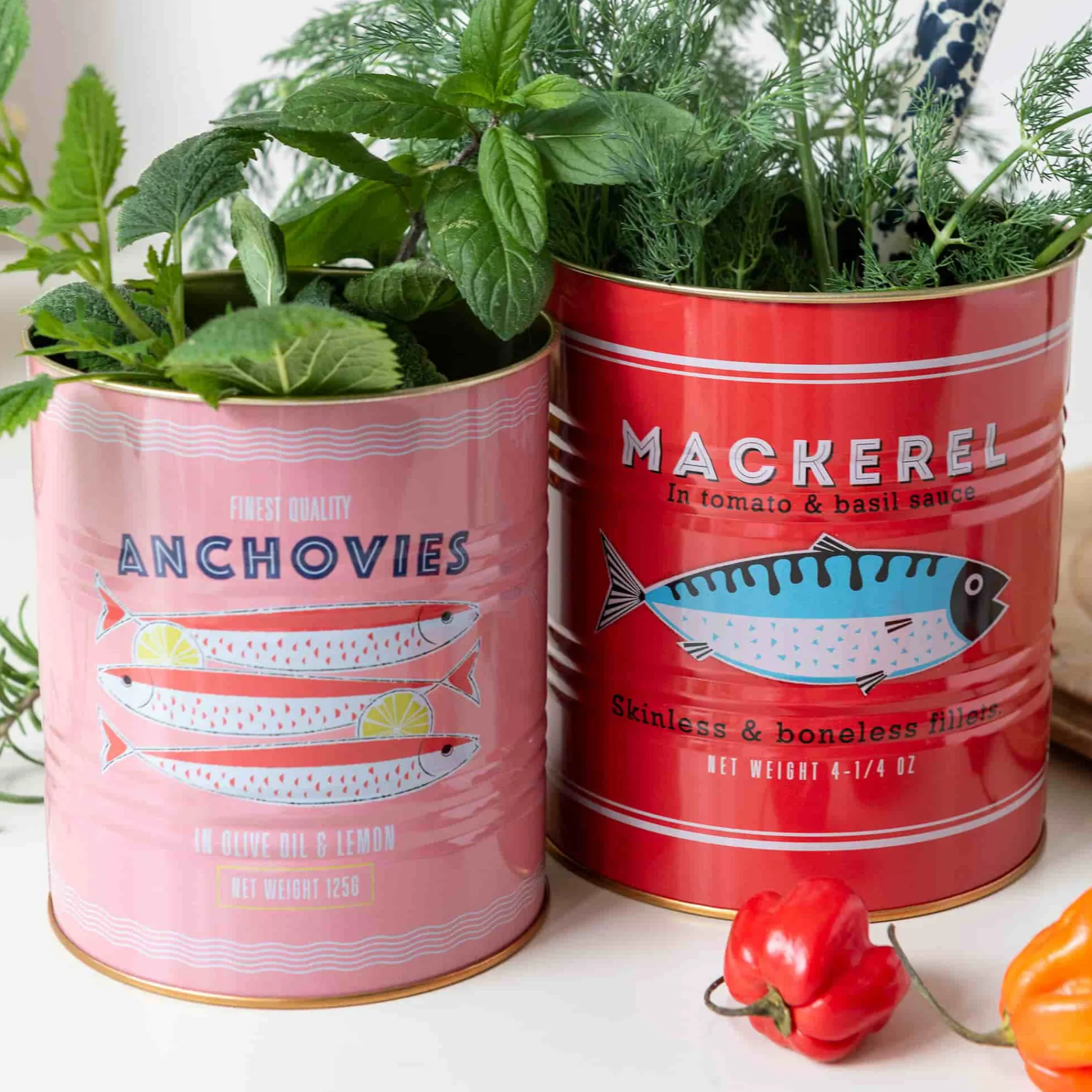Online Set of 2 Mackerel & Anchovies Utensil Jars Tableware Brands