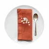 New Set of 2 Rust Linen Napkins Table Setting|Kitchen Textiles & Clothing