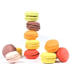 Silicone Macaron Baking Mat, 30x40cm Italian Ingredients|Baking Supplies & Equipment
