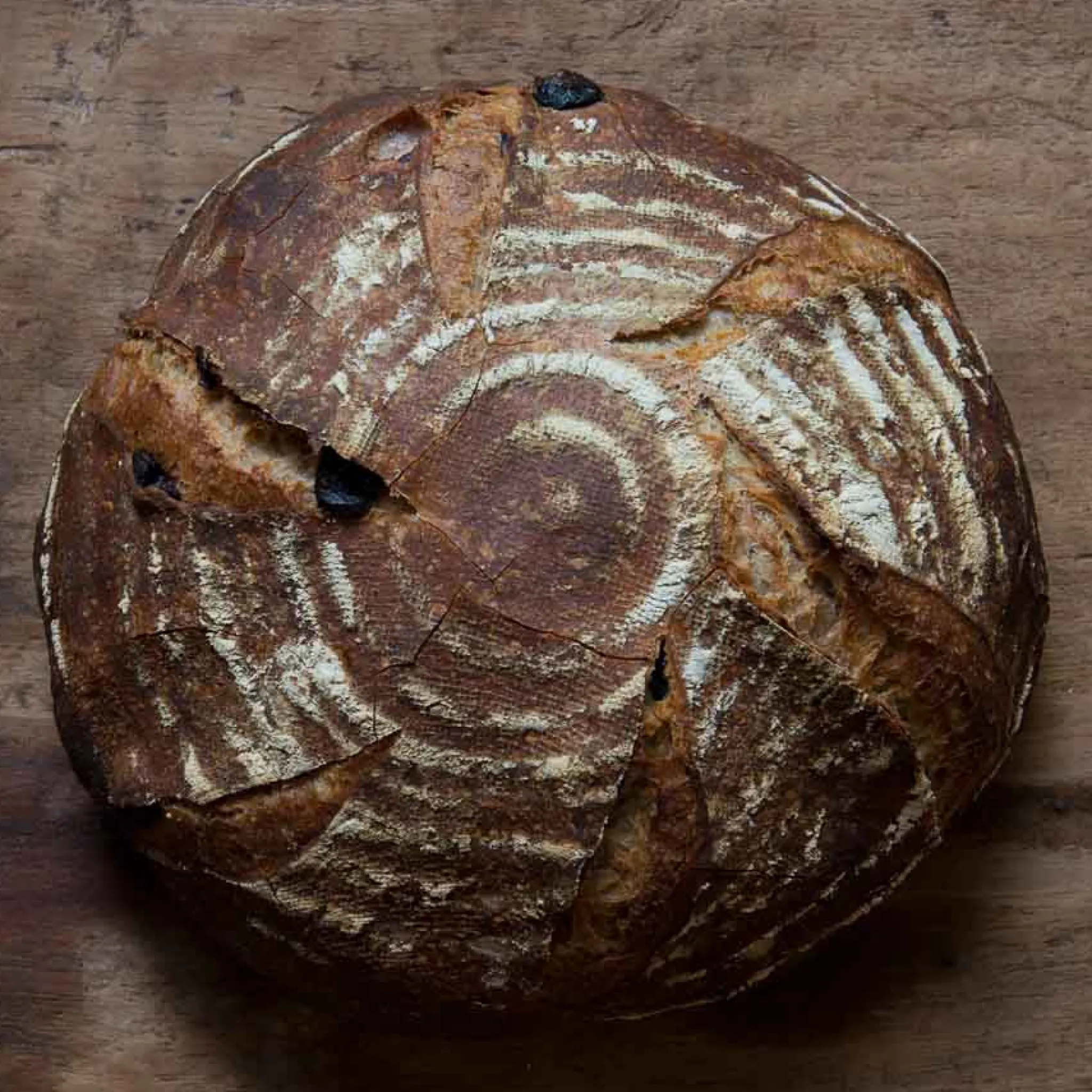 Discount Sourdough Bread Making Kit Baking Supplies & Equipment|Recipe Kits