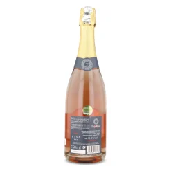 Clearance Turdion Cava Brut Rose, 750ml Ingredients Brands|Spanish Ingredients
