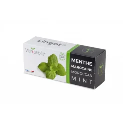 Discount Asian Lingot Insert, Organic Moroccan Mint Tableware Brands|Middle Eastern Ingredients