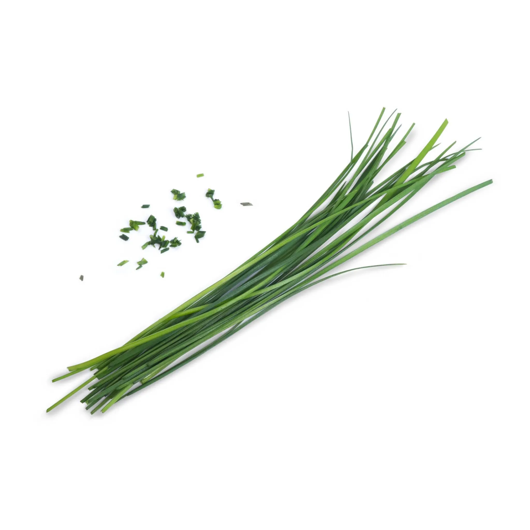 Outlet Asian Lingot Insert, Organic Chinese Chives Tableware Brands|Chinese Ingredients