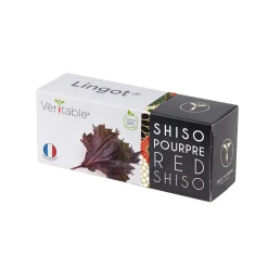 Hot Asian Lingot Insert, Organic Red Shiso Tableware Brands|Japanese Ingredients