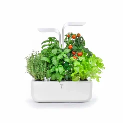 Sale Classic Indoor Herb Garden Tableware Brands|Kitchen Electricals