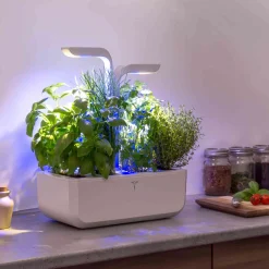 Sale Classic Indoor Herb Garden Tableware Brands|Kitchen Electricals