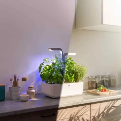 Sale Classic Indoor Herb Garden Tableware Brands|Kitchen Electricals