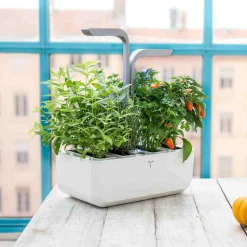 Sale Classic Indoor Herb Garden Tableware Brands|Kitchen Electricals