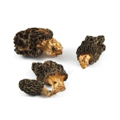 Best Wild Morel Mushrooms, 30g Ingredients Brands|Italian Ingredients